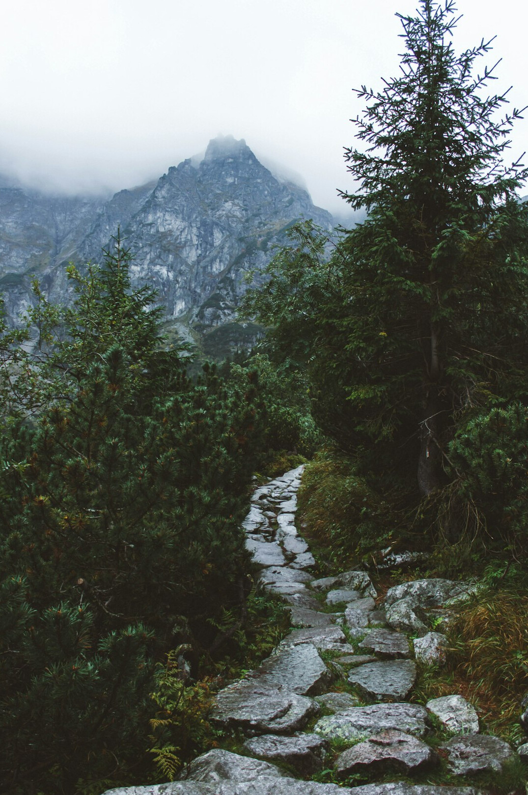 hiking trail in polish mountains