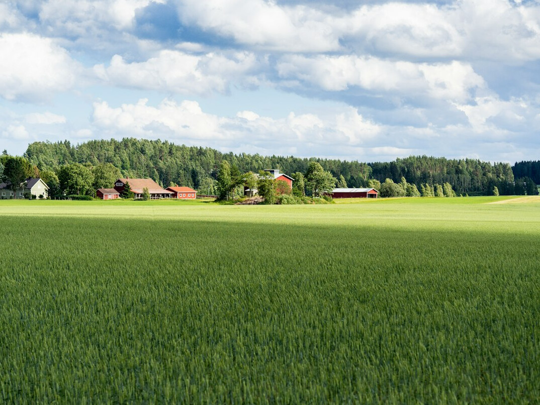 polish countryside landscape